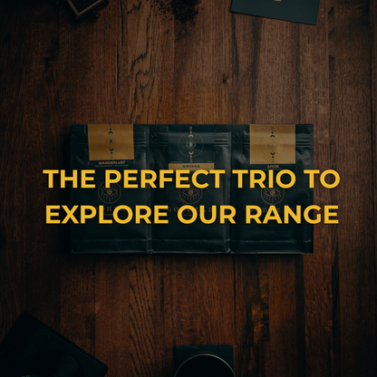 Explorer Bundle trio featuring GODHEAD COFFEE Vintage, Wanderlust and Tranquillo specialty coffee bags