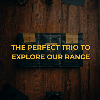 Explorer Subscription - GODHEAD COFFEE